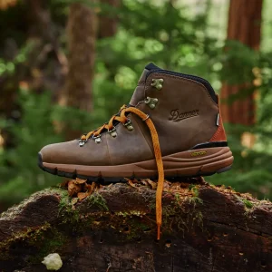 Men Danner Mountain 600