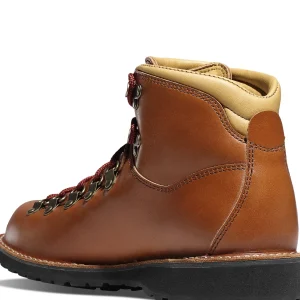 Men Danner Mountain Pass